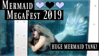 MERMAID MEGAFEST 2019  Professional Mermaids Swimming in a Tank in South Haven Michigan [upl. by Itak]