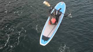 How to Kayak using your Paddle Board Paddle [upl. by Hillery]