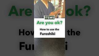 〜Are you okHow to use the Furoshiki〜jougensan japanesespitz furoshiki japanesestylejapanlife [upl. by Ivens]