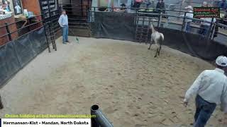 HermansonKist Fall Sale Mandan North Dakota [upl. by Ziguard]