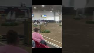 SheReeeq you did amazing today stopabuse horse equestrian fyp blowup viralvideo [upl. by Bollinger660]