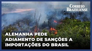 ALEMANHA PEDE QUE UE ADIE SANÇÕES ÀS IMPORTAÇÕES BRASILEIRAS DE TERRAS DESMATADAS [upl. by Wes]