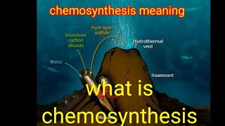 chemosynthesis  chemosynthesis definition chemosynthesis in hindi chemosynthesis [upl. by Affra]