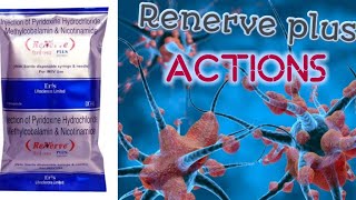 Renerve plus injection  vitamin injection  nerve injection  fully explained  Marunthiyal arivom [upl. by Fredrick]