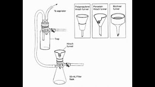 Gravity Filtration and Vacuum Filtration [upl. by Gerrie]