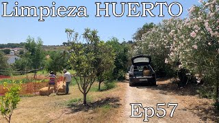 Limpieza de bancales paja para cobertura del huerto y otras cosas de vivir en el campo Ep57 [upl. by Langelo349]