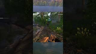 ⭐21🐟 Fishing Planet  FischerMaxl in Action shorts [upl. by Taveda813]