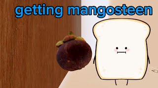 getting mangosteen animation secretstaycation [upl. by Ahsinotna]