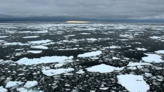 ANTARCTICA 2014 SA AGULHAS 2  Dave Scott [upl. by Eltsryk]