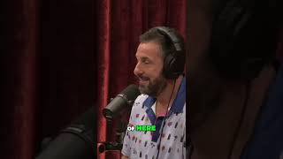 Joe Rogan amp Adam Sandler joerogan joeroganexperience joeroganpodcast jre jreclips jreshorts [upl. by Aara]