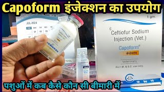 CapoformCeftiofur Sodium injection Use in Animals पशुओं को कब कैसे कौन सी बीमारी में [upl. by Anehc]