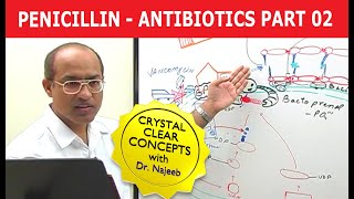 Penicillin  Antibiotics  Dr Najeeb  Part 24 [upl. by Sitelc217]