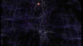 Neurons and how they work [upl. by Duomham]