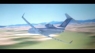 Belavia Flight 1834  Crash Animation [upl. by Amalita]