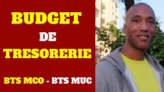 BTS MCO  BTS MUC  Gestion  Les Bugdets  Budget de Trésorerie sans solde initial [upl. by Renaldo]