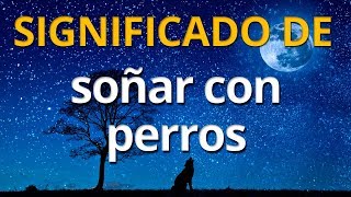 Qué significa soñar con perros 💤 Interpretación de los Sueños [upl. by Sairahcaz]