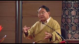 Sogyal Rinpoche  Der Nutzen der Meditation [upl. by Sumetra]