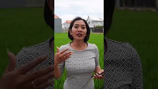 Choosing a notary in Bali contact us to learn more about this process bali balirealestate [upl. by Ityak]