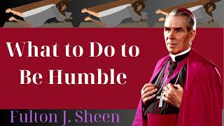 What to Do to Be Humble  Fulton J Sheen [upl. by Kciregor]