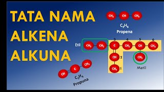 TATA NAMA ALKENA DAN ALKUNA HIDROKARBON [upl. by Kip129]