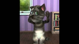 funny video talkingtom tomtaking funny tomtalk mytalkingtom talkingt cat tomtalkingtom [upl. by Bywaters941]