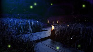 Night Ambient Sounds Frogs amp Crickets After Rain Swamp Sounds for Deep Sleep [upl. by Damales]