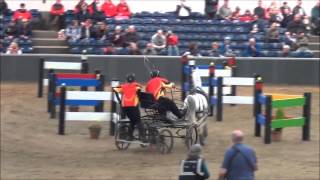 British Carriage Driving Championship Finals 2014 Keysoe Obstacle 4 Lee Moss [upl. by Oalsinatse]