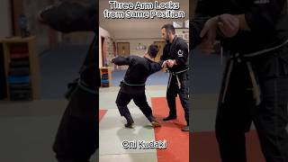 Three Arm Locks from Same Position [upl. by Marozas]