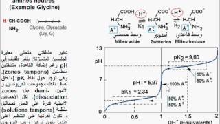 Glycine Ionisation et titration تأين الجليسين [upl. by Eardnaed]