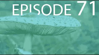 Episode 71  Basidiomycota [upl. by Kester187]