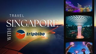 Singapore itenary by Tripbibo [upl. by Borreri]