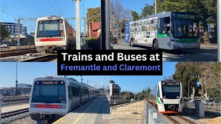 Buses and Trains at Fremantle and Claremont [upl. by Melborn]