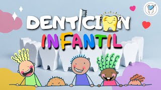 DENTICIÓN INFANTIL Dientes Temporales ¿Qué es Estructura Funciones Color [upl. by Milman]