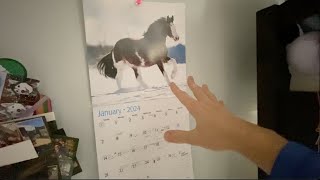 Best Horse Calendars for Kids [upl. by Delogu816]