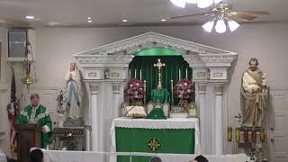 Father Radecki Ways to participate at Mass given by Pope Pius 12 [upl. by Hike792]