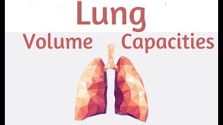 Lung Volumes And Capacities  Physiology [upl. by Ceporah]