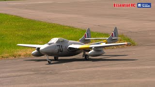 BRITISH de Havilland VAMPIRE radio controlled RC TURBINE JET FIGHTER [upl. by Ednyl357]