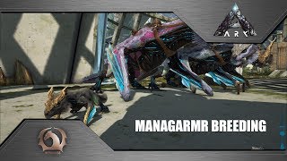 Ark Survival Evolved  Managarmr breeding [upl. by Ardnaed]