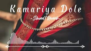 🥰🥵🥵🥵 Kamariya Dole Dole SlowedReverb Song  NilKamal Singh Song Bhojpuri Slowed Song [upl. by Naic]