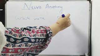 NeuroanAtomy  Introduction [upl. by Oiluig855]