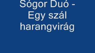 Sógor Duó  Egy szál harangvirág [upl. by Akiem]