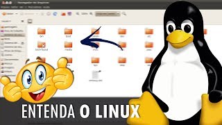 Como funciona a estrutura de diretórios do Linux [upl. by Anitnuahs]