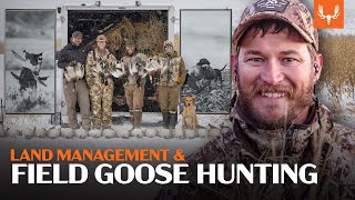 Goose Hunting with Flying V  Land Management and Field Hunting [upl. by Eednarb]