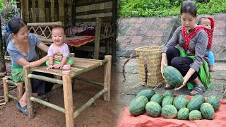 17yearold single mother Making a beautiful bamboo tables and chairs Harvesting tiny watermelons [upl. by Nyledam]