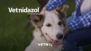 Vetnidazol® Comprimidos [upl. by Gnoy]