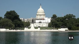 Handful of races across US to decide control of Senate [upl. by Particia342]