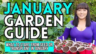 January Garden Guide What To Start From Seed Or Plant NOW garden gardeningtips vegetablegarden [upl. by Fina]