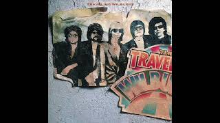 Traveling Wilburys  Skeeter And The Monkey Man [upl. by Annawik]