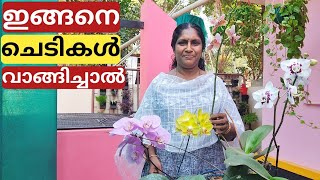 Rhynchostyl orchid seedling planting  Malayalam [upl. by Arezzini]