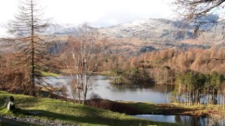 Lake District Walks Tarn Hows [upl. by Aneekat]